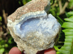 Natural Blue Lace Agate Geode Specimens x 24 From Nsanje, Malawi - Toprock Gemstones and Minerals 