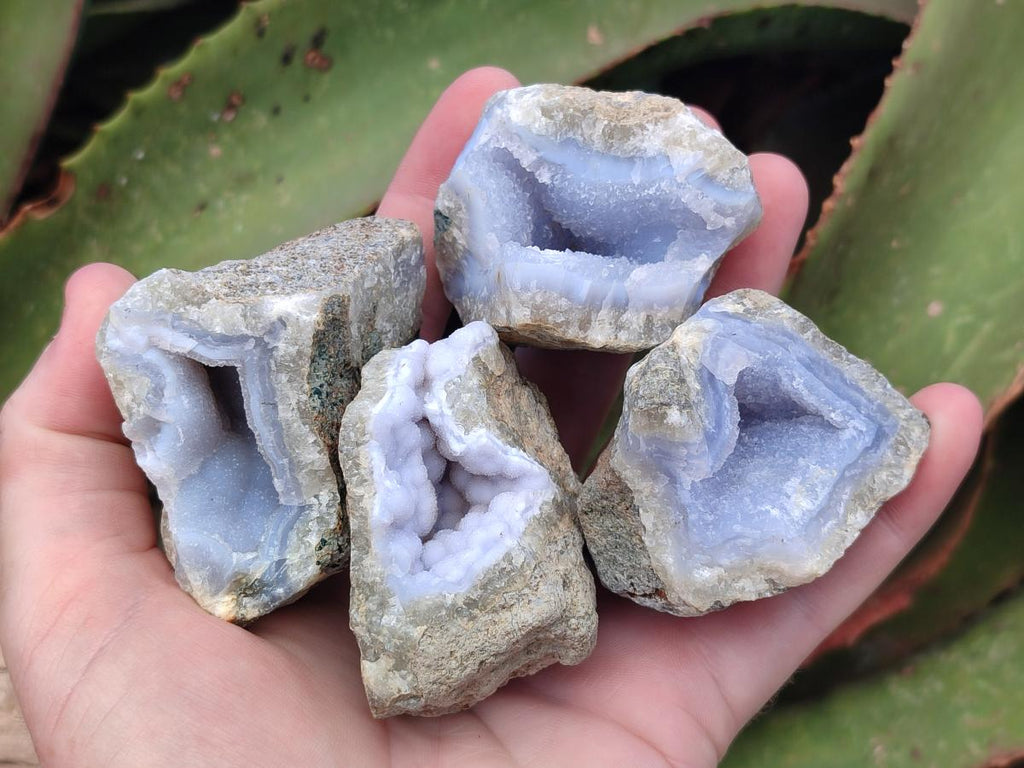 Natural Blue Lace Agate Geode Specimens x 24 From Nsanje, Malawi - Toprock Gemstones and Minerals 