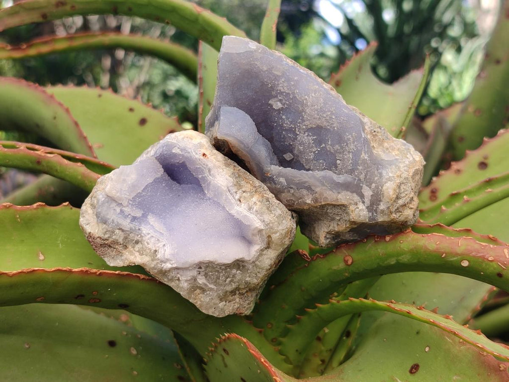 Natural Blue Lace Agate Geode Specimens x 24 From Nsanje, Malawi - Toprock Gemstones and Minerals 
