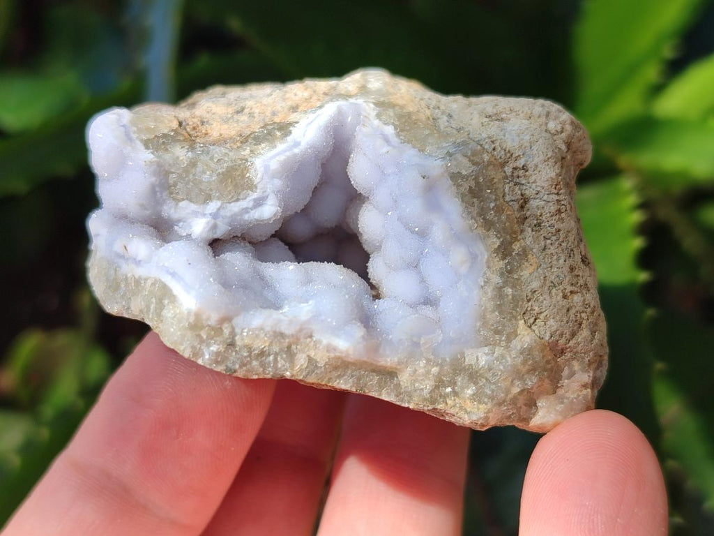 Natural Blue Lace Agate Geode Specimens x 24 From Nsanje, Malawi - Toprock Gemstones and Minerals 