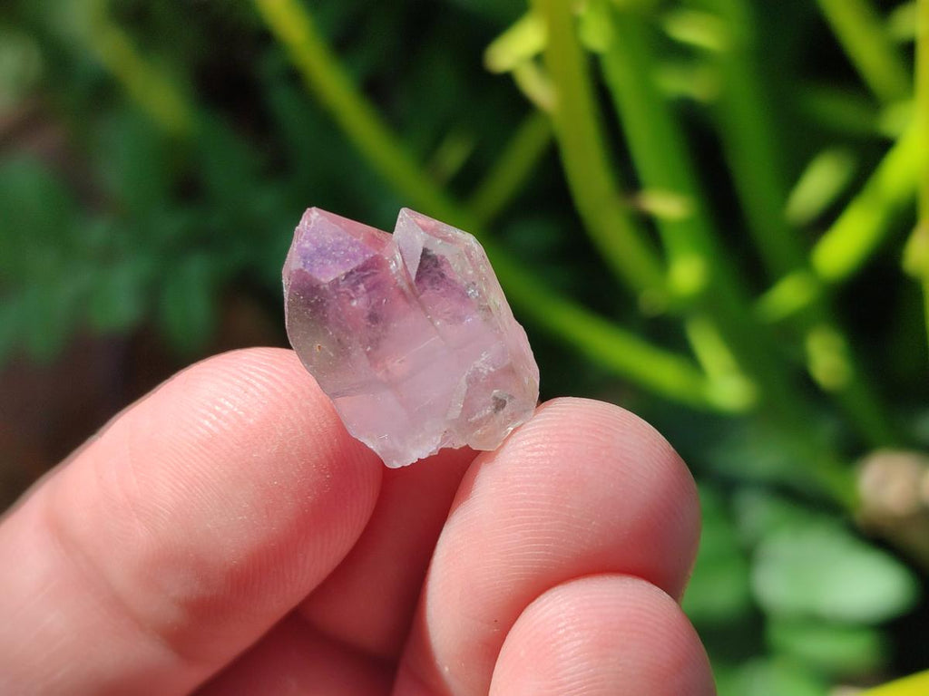 Natural Zululand Window Amethyst Crystals x 70 From Zululand, South Africa - Toprock Gemstones and Minerals 