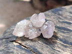 Natural Zululand Window Amethyst Crystals x 70 From Zululand, South Africa - Toprock Gemstones and Minerals 