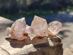 Natural Zululand Window Amethyst Crystals x 70 From Zululand, South Africa - Toprock Gemstones and Minerals 
