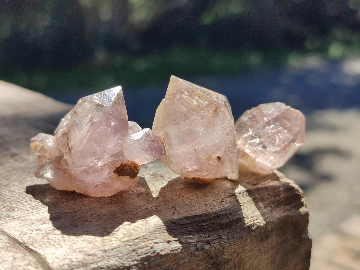 Natural Zululand Window Amethyst Crystals x 70 From Zululand, South Africa - Toprock Gemstones and Minerals 