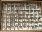Natural Zululand Window Amethyst Crystals x 70 From Zululand, South Africa - Toprock Gemstones and Minerals 