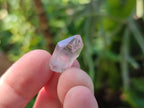 Natural Zululand Window Amethyst Crystals x 70 From Zululand, South Africa - Toprock Gemstones and Minerals 