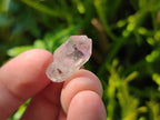 Natural Zululand Window Amethyst Crystals x 70 From Zululand, South Africa - Toprock Gemstones and Minerals 