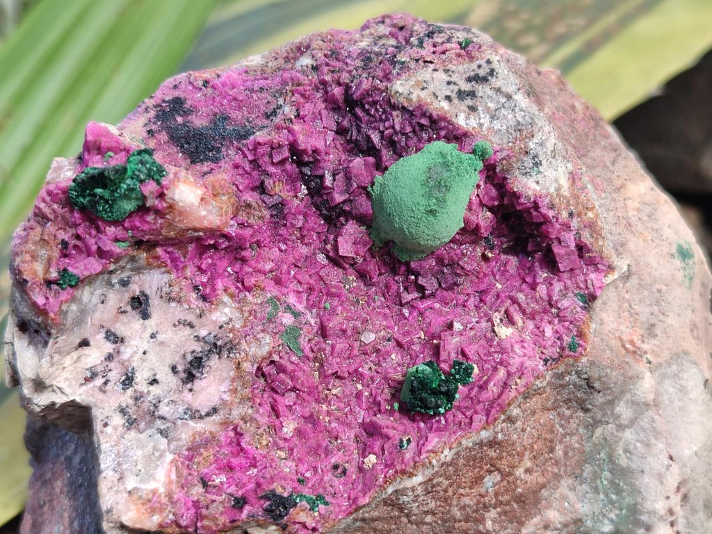 Natural Spherocobaltite Specimens with Silky Malachite, Heterogenite and Kolwezite Specimens x 2 From Musonoi Mine, Congo - Toprock Gemstones and Minerals 