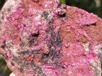 Natural Spherocobaltite Specimens with Silky Malachite, Heterogenite and Kolwezite Specimens x 2 From Musonoi Mine, Congo - Toprock Gemstones and Minerals 
