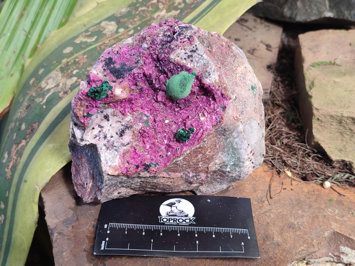 Natural Spherocobaltite Specimens with Silky Malachite, Heterogenite and Kolwezite Specimens x 2 From Musonoi Mine, Congo - Toprock Gemstones and Minerals 