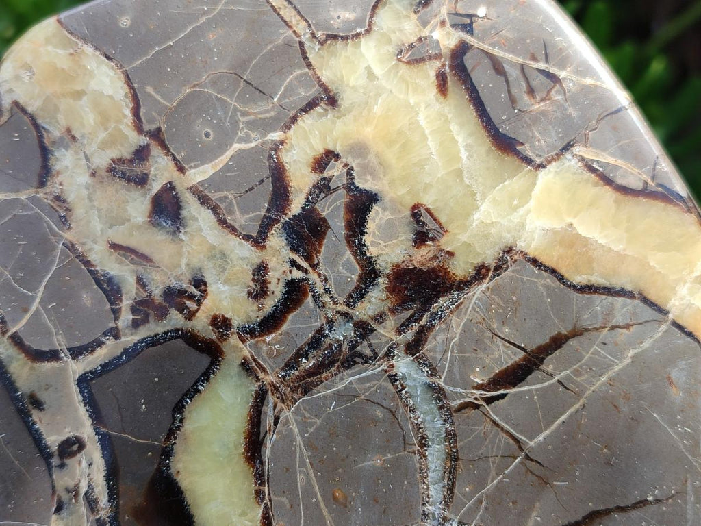 Polished Septerye Slices x 4 From Mahajanga, Madagascar - Toprock Gemstones and Minerals 