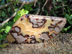 Polished Septerye Slices x 4 From Mahajanga, Madagascar - Toprock Gemstones and Minerals 