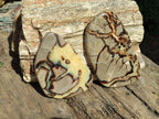 Polished Septerye Slices x 4 From Mahajanga, Madagascar - Toprock Gemstones and Minerals 