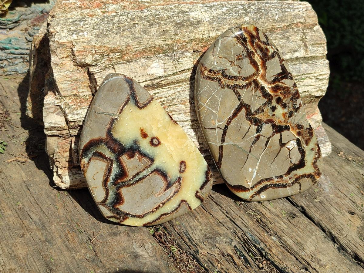 Polished Septerye Slices x 4 From Mahajanga, Madagascar - Toprock Gemstones and Minerals 