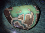 Polished Septerye Slices x 4 From Mahajanga, Madagascar - Toprock Gemstones and Minerals 