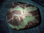 Polished Septerye Slices x 4 From Mahajanga, Madagascar - Toprock Gemstones and Minerals 