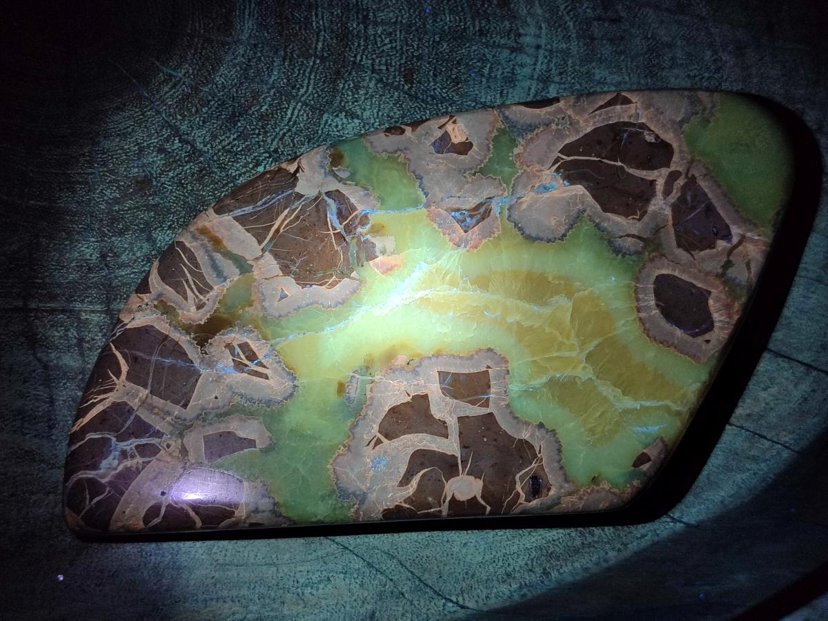 Polished Septerye Slices x 4 From Mahajanga, Madagascar - Toprock Gemstones and Minerals 