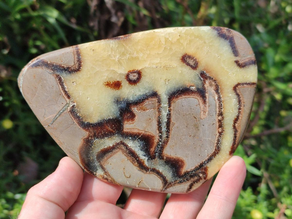Polished Septerye Slices x 4 From Mahajanga, Madagascar - Toprock Gemstones and Minerals 
