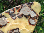 Polished Septerye Slices x 4 From Mahajanga, Madagascar - Toprock Gemstones and Minerals 