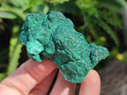 Natural Botryoidal Malachite Specimens x 8 From Congo - Toprock Gemstones and Minerals 