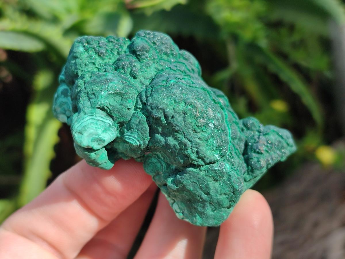 Natural Botryoidal Malachite Specimens x 8 From Congo - Toprock Gemstones and Minerals 