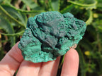 Natural Botryoidal Malachite Specimens x 8 From Congo - Toprock Gemstones and Minerals 