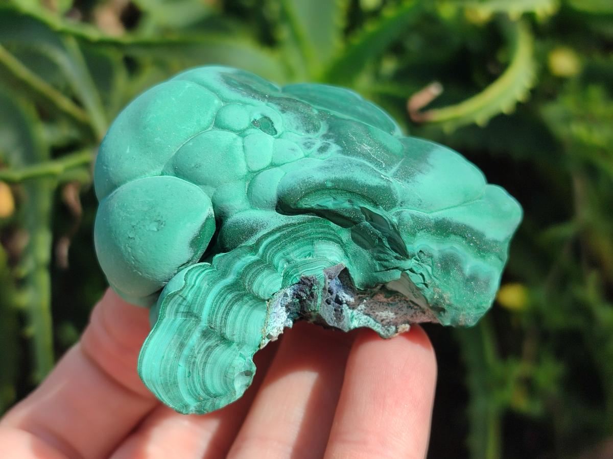 Natural Botryoidal Malachite Specimens x 8 From Congo - Toprock Gemstones and Minerals 