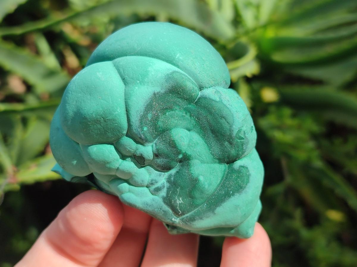 Natural Botryoidal Malachite Specimens x 8 From Congo - Toprock Gemstones and Minerals 