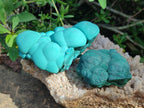 Natural Botryoidal Malachite Specimens x 8 From Congo - Toprock Gemstones and Minerals 