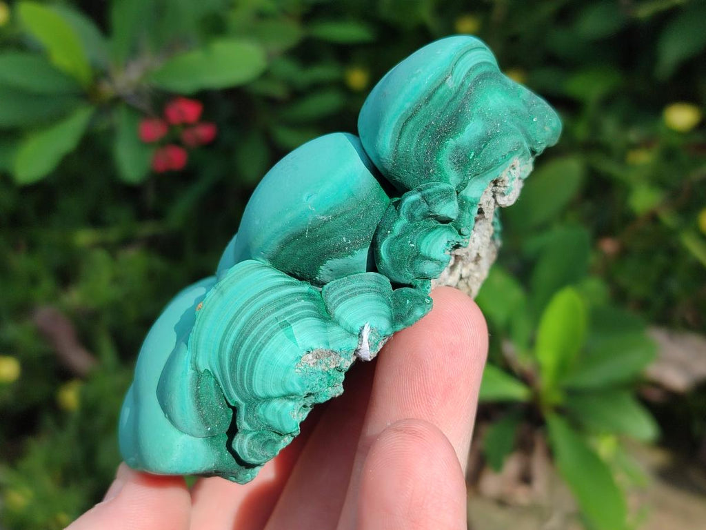Natural Botryoidal Malachite Specimens x 8 From Congo - Toprock Gemstones and Minerals 