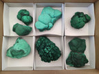 Natural Botryoidal Malachite Specimens x 8 From Congo - Toprock Gemstones and Minerals 