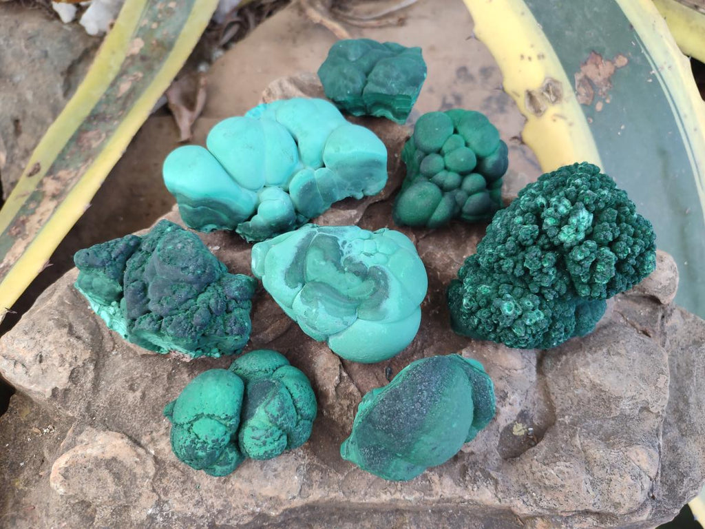 Natural Botryoidal Malachite Specimens x 8 From Congo - Toprock Gemstones and Minerals 