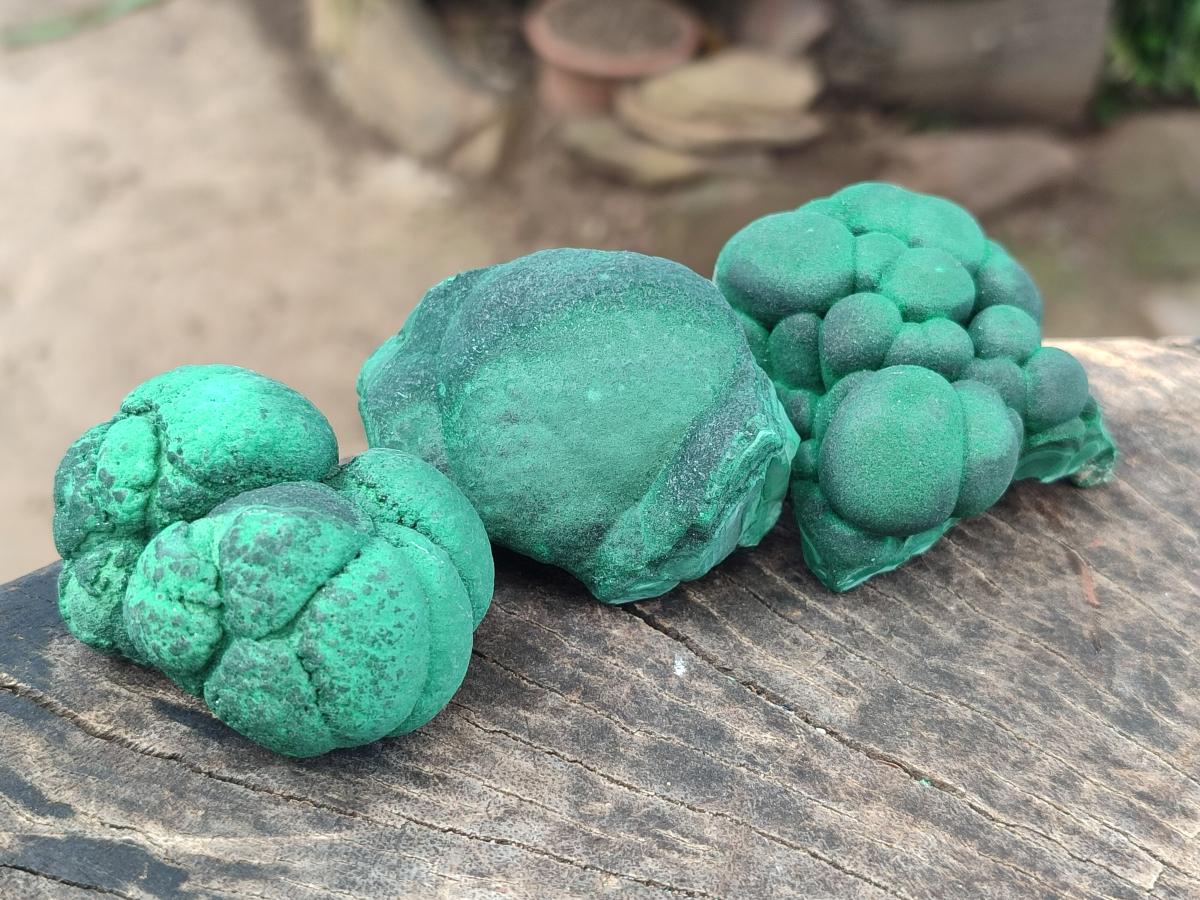 Natural Botryoidal Malachite Specimens x 8 From Congo - Toprock Gemstones and Minerals 