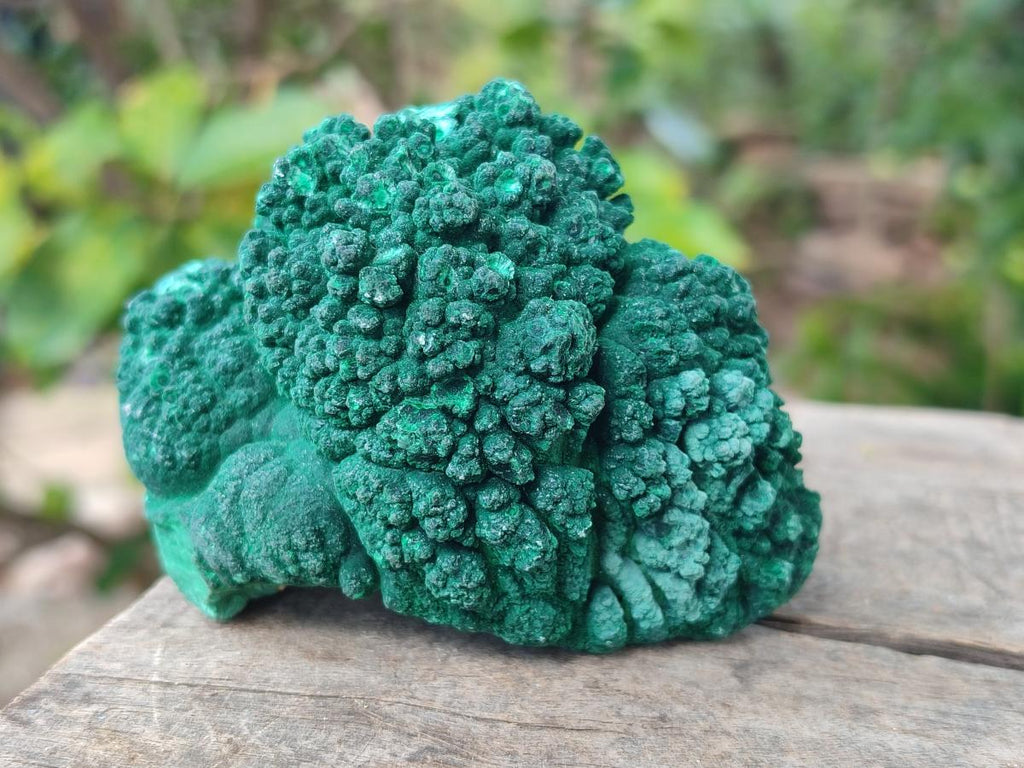 Natural Botryoidal Malachite Specimens x 8 From Congo - Toprock Gemstones and Minerals 