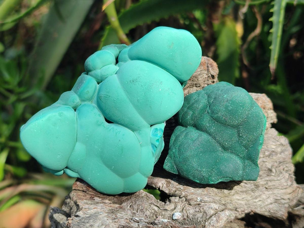 Natural Botryoidal Malachite Specimens x 8 From Congo - Toprock Gemstones and Minerals 
