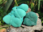 Natural Botryoidal Malachite Specimens x 8 From Congo - Toprock Gemstones and Minerals 