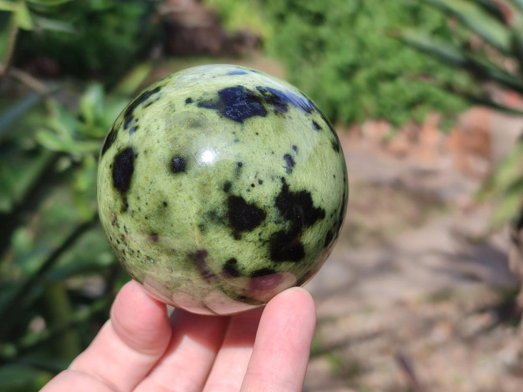 Polished Leopard Stone Spheres x 3 From Zimbabwe - Toprock Gemstones and Minerals 
