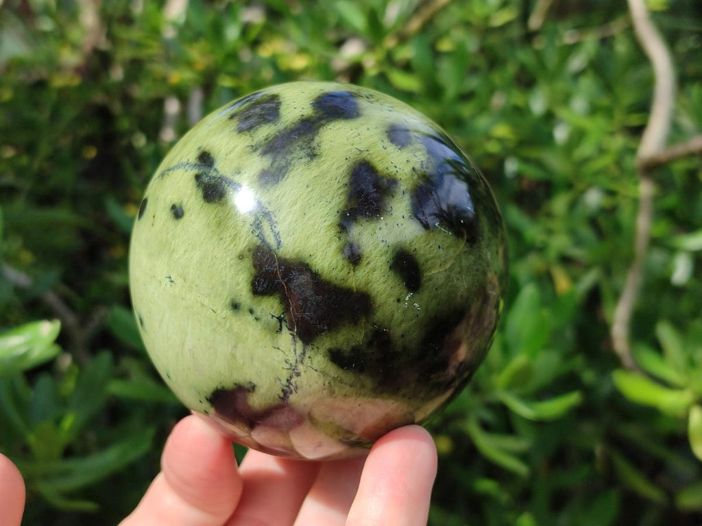 Polished Leopard Stone Spheres x 3 From Zimbabwe - Toprock Gemstones and Minerals 