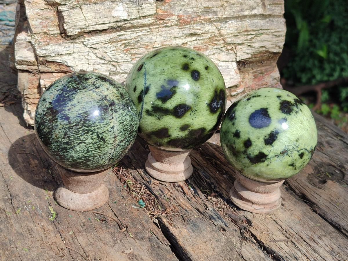 Polished Leopard Stone Spheres x 3 From Zimbabwe - Toprock Gemstones and Minerals 