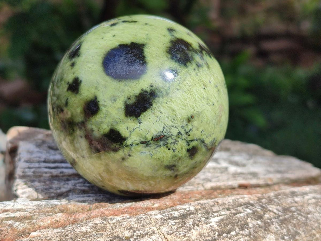 Polished Leopard Stone Spheres x 3 From Zimbabwe - Toprock Gemstones and Minerals 