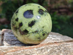 Polished Leopard Stone Spheres x 3 From Zimbabwe - Toprock Gemstones and Minerals 