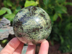 Polished Leopard Stone Spheres x 3 From Zimbabwe - Toprock Gemstones and Minerals 