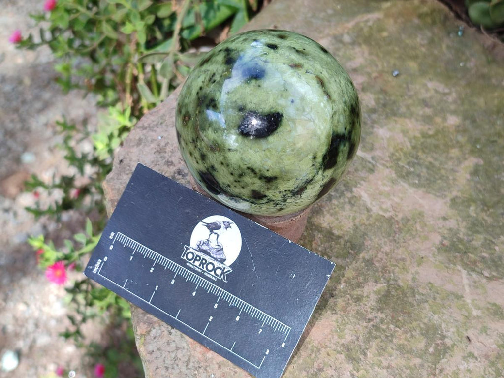 Polished Leopard Stone Spheres x 3 From Zimbabwe - Toprock Gemstones and Minerals 