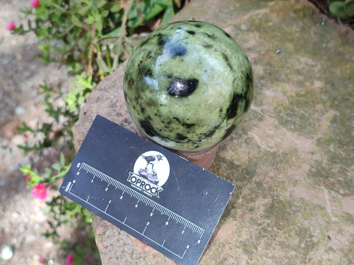 Polished Leopard Stone Spheres x 3 From Zimbabwe - Toprock Gemstones and Minerals 