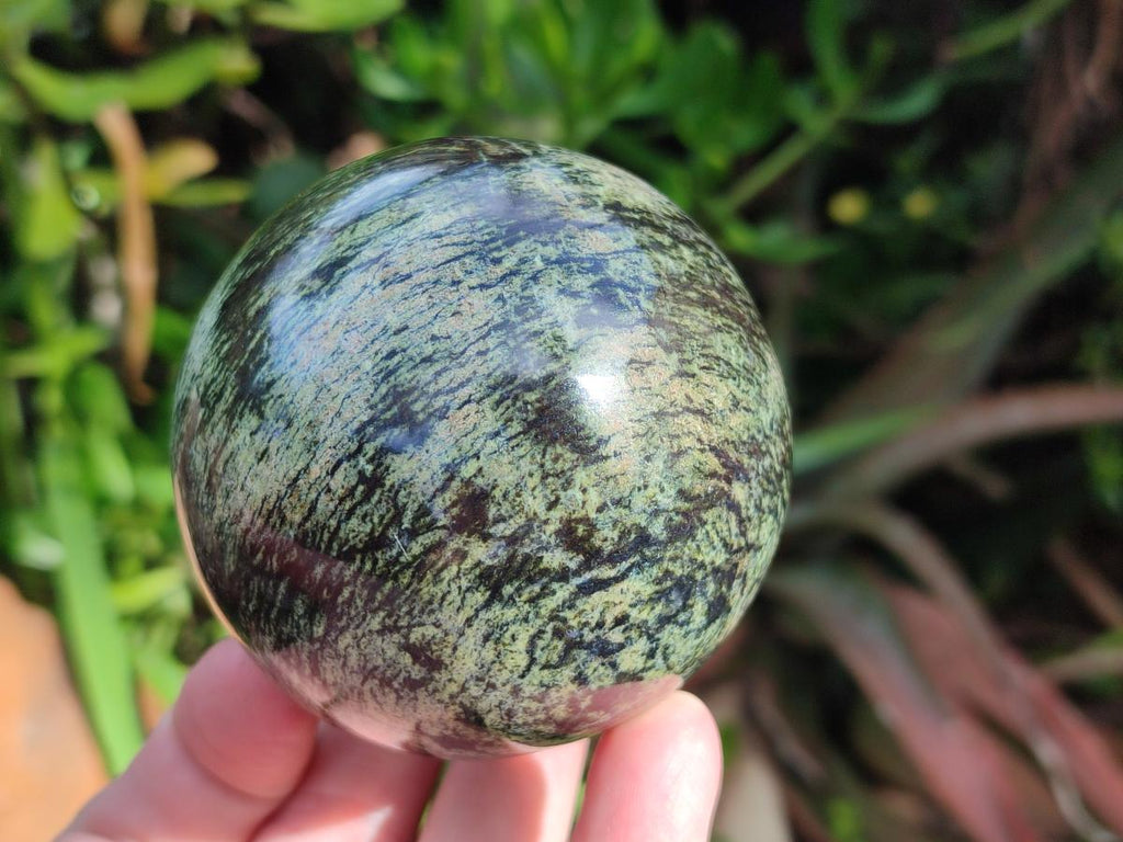 Polished Leopard Stone Spheres x 3 From Zimbabwe - Toprock Gemstones and Minerals 