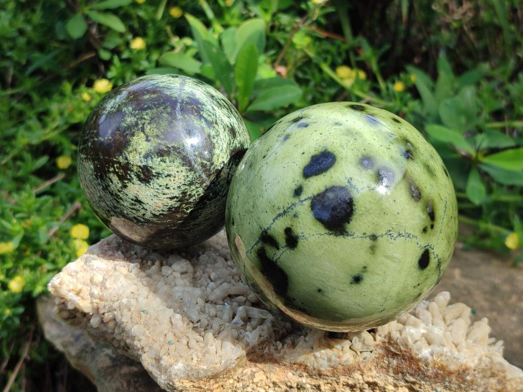 Polished Leopard Stone Spheres x 3 From Zimbabwe - Toprock Gemstones and Minerals 