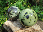 Polished Leopard Stone Spheres x 3 From Zimbabwe - Toprock Gemstones and Minerals 