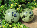 Polished Leopard Stone Spheres x 3 From Zimbabwe - Toprock Gemstones and Minerals 