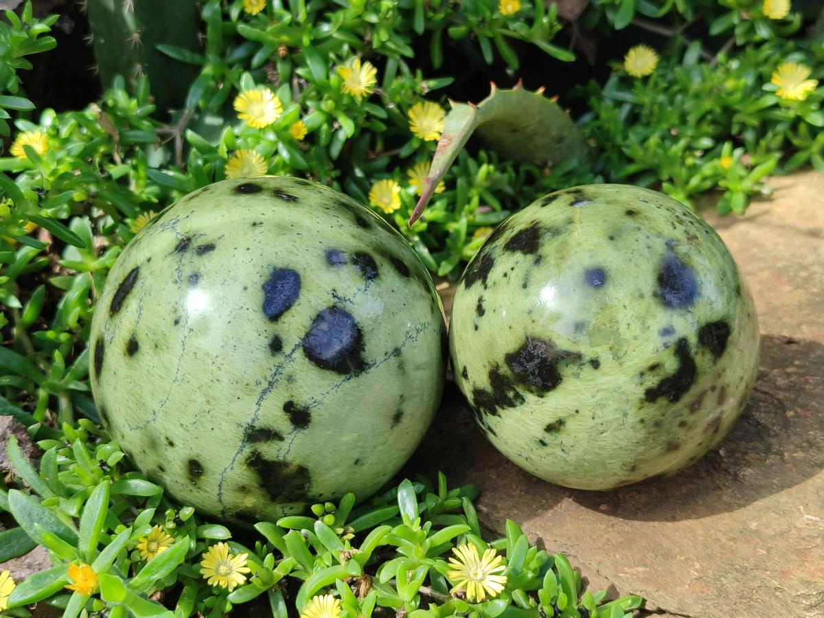 Polished Leopard Stone Spheres x 3 From Zimbabwe - Toprock Gemstones and Minerals 