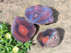 Polished One Side Red Shashe River Agate Nodules x 20 From Shashe River, Zimbabwe - Toprock Gemstones and Minerals 